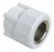 Муфта внутр. резьба PPR 25 х 1/2" (25шт)